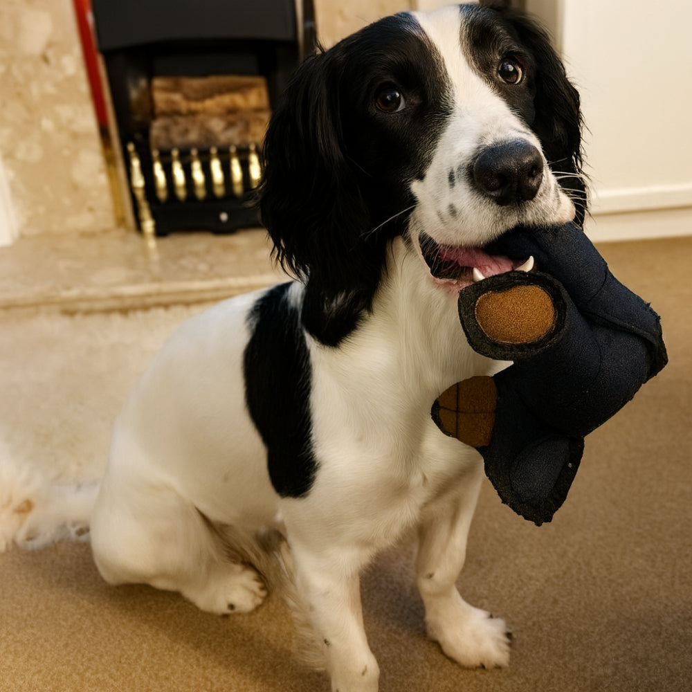Long-Lasting Plush Bear Chew Toy for Endless Dog Fun