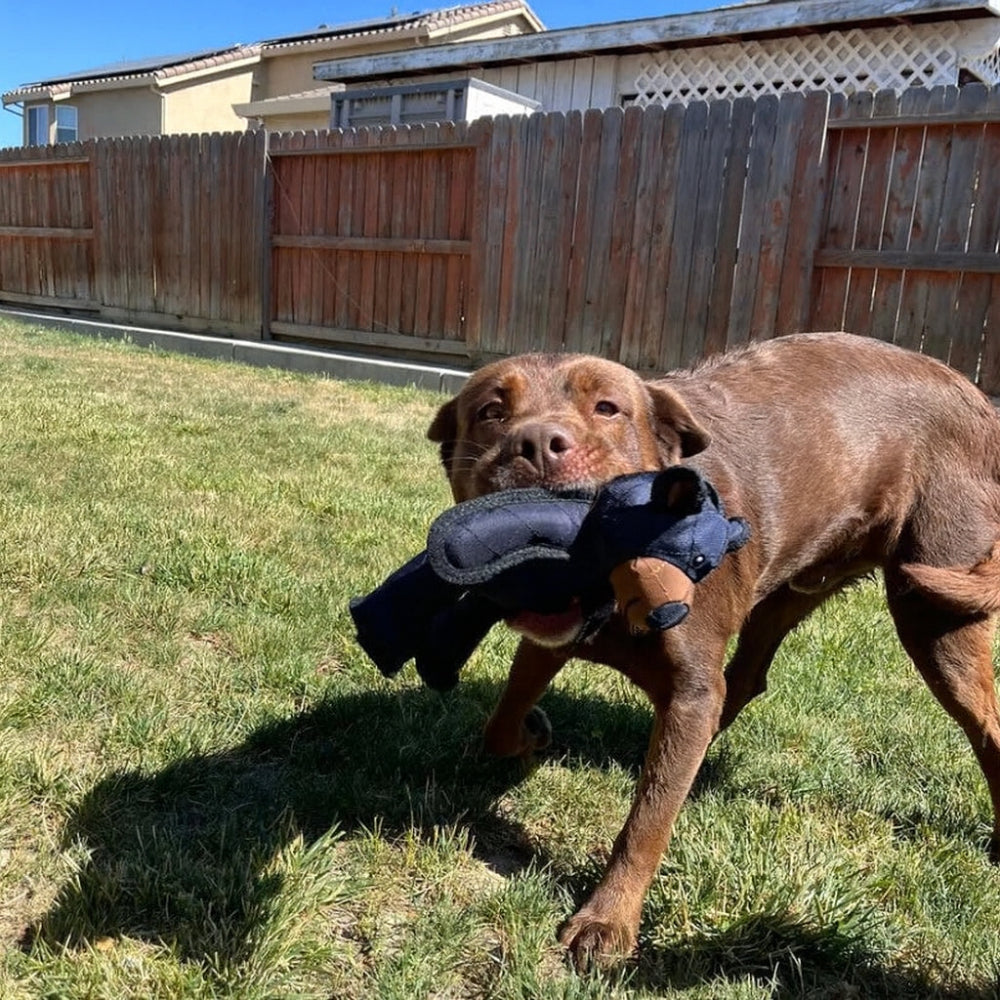 Long-Lasting Plush Bear Chew Toy for Endless Dog Fun