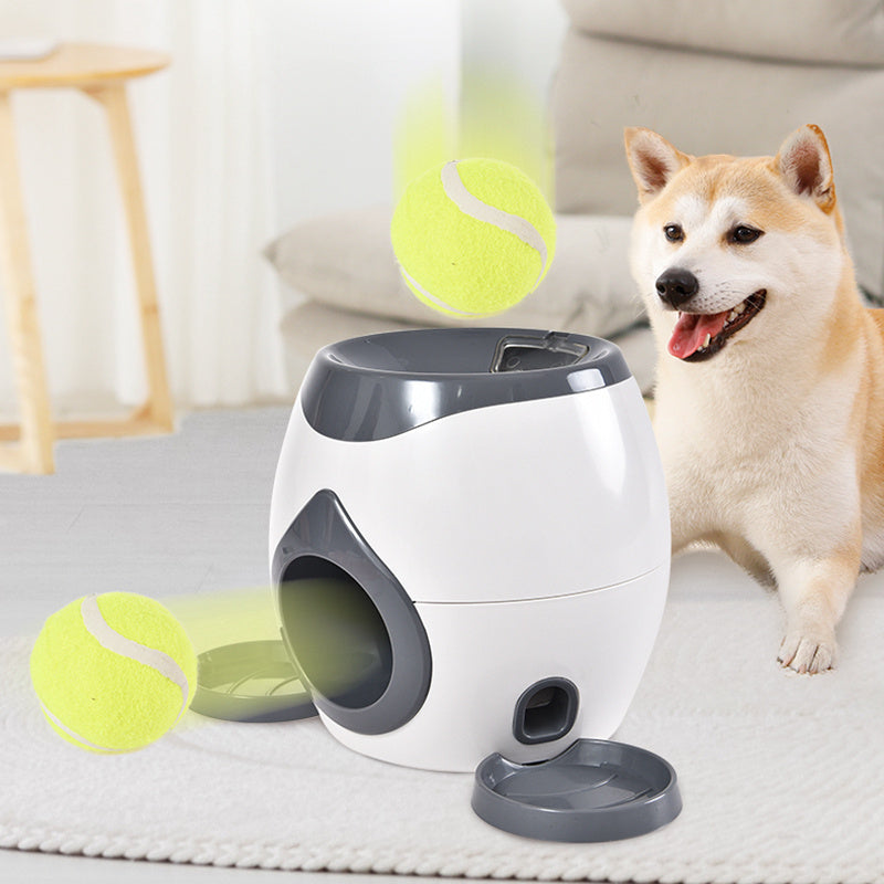 Durable Slow Feeding Dog Bowl | Engaging Interactive Pet Feeder