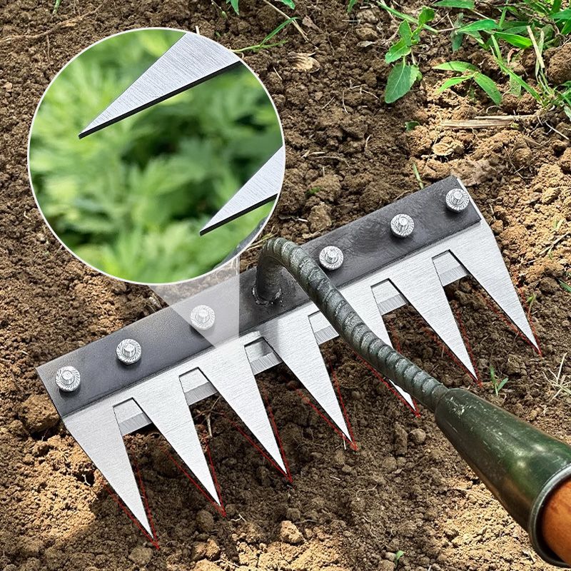 Lawn Rakes with Versatile Handles