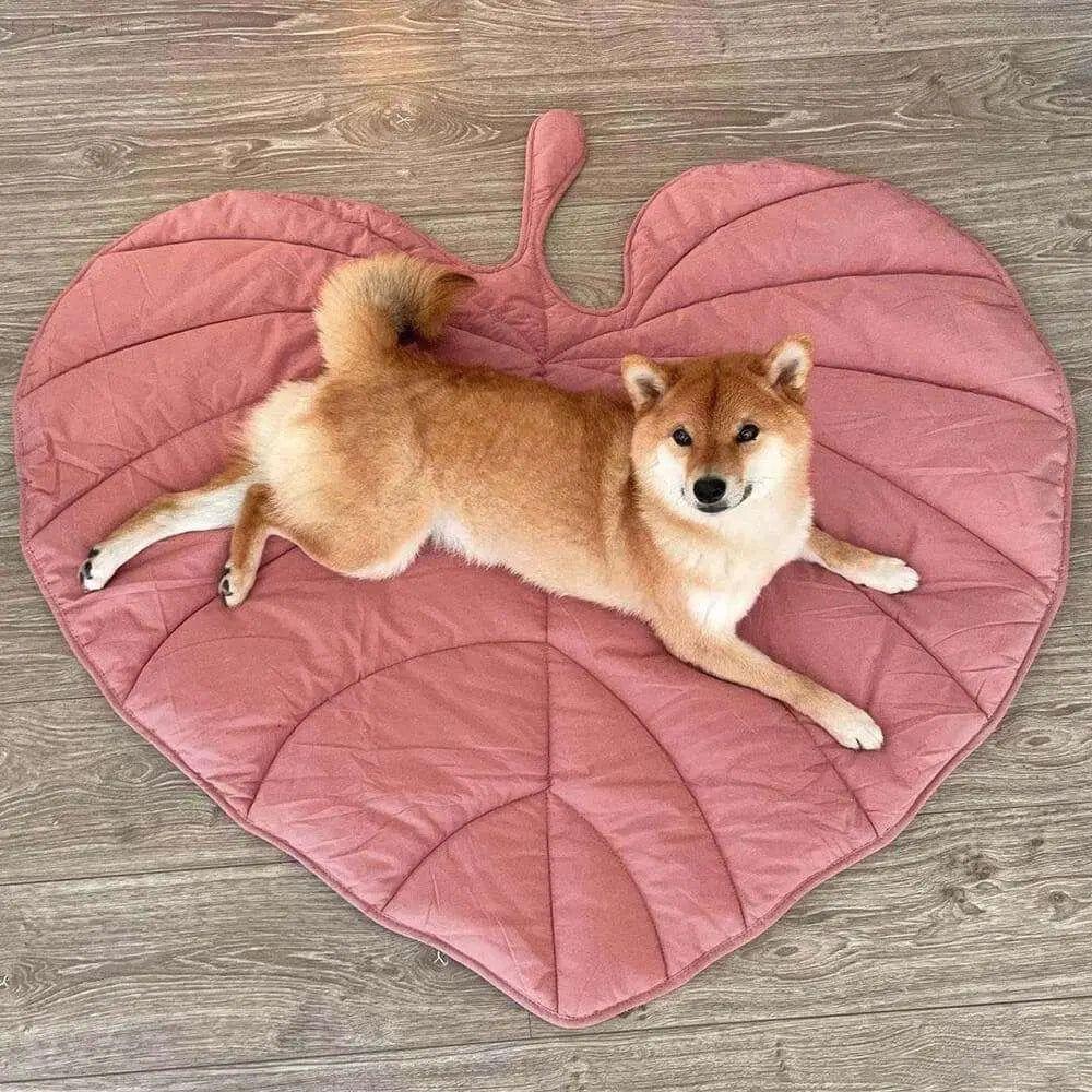 Taavita - Dog Blanket in Leaf Shape