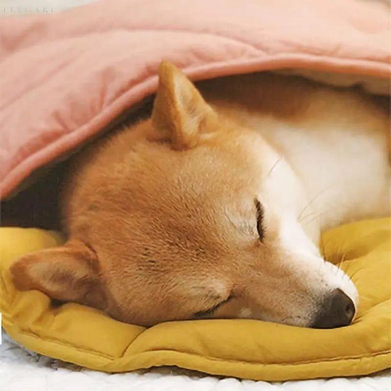 Taavita - Dog Blanket in Leaf Shape