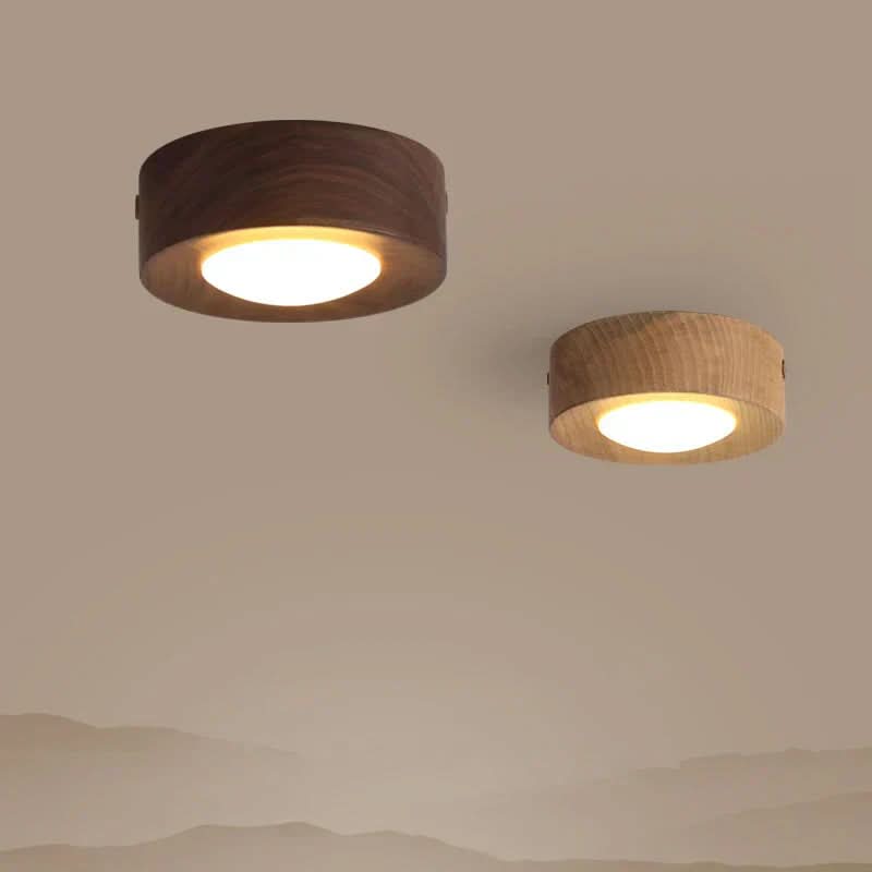 Natural Elegance LED Ceiling Fixture for Energy-Efficient Lighting