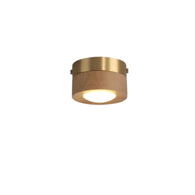 Natural Elegance LED Ceiling Fixture for Energy-Efficient Lighting