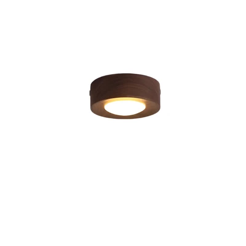 Natural Elegance LED Ceiling Fixture for Energy-Efficient Lighting