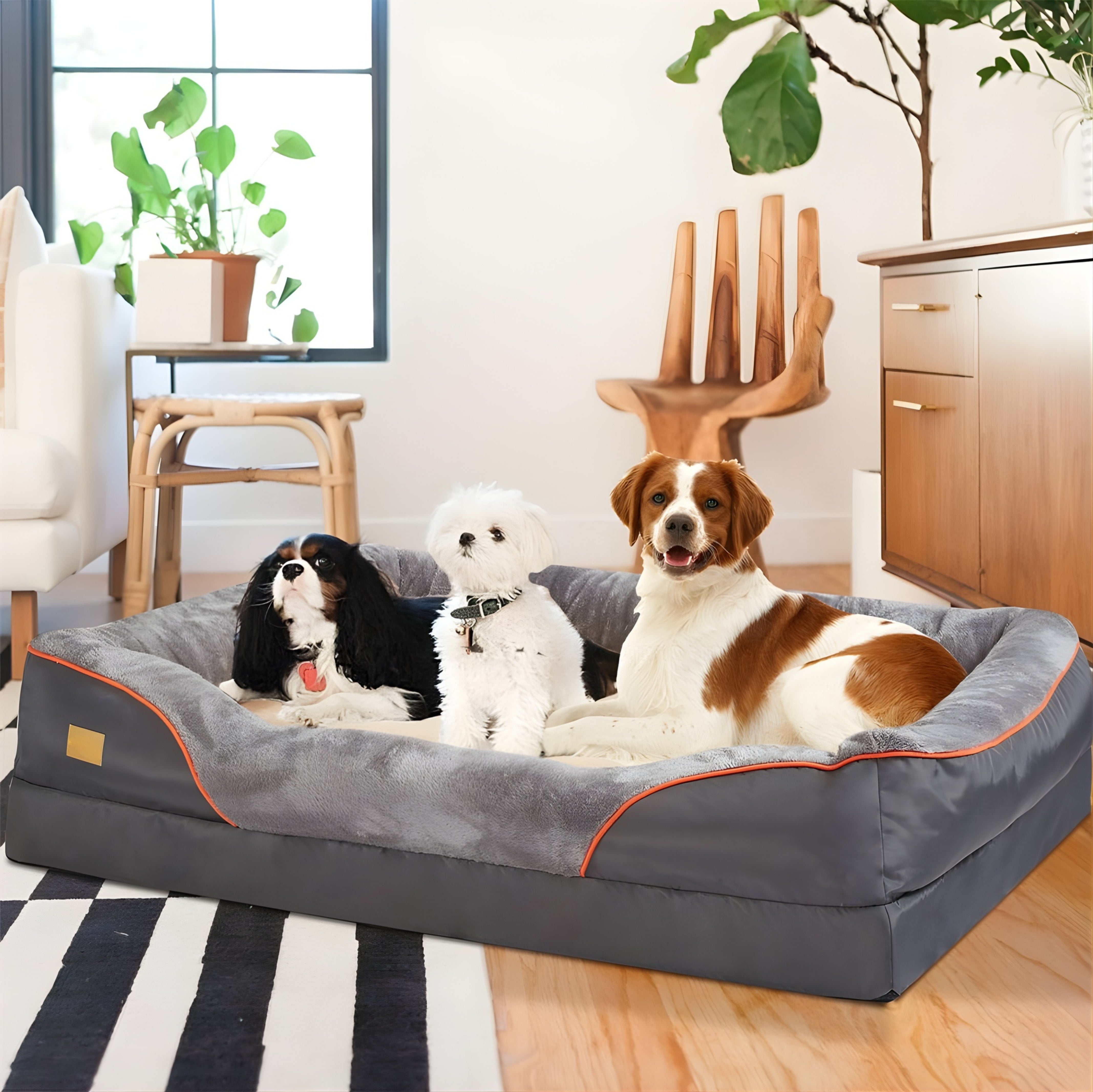 Memory Foam Dog Bed with Bolstered Edges | Waterproof & Non-Slip | 3 Sizes