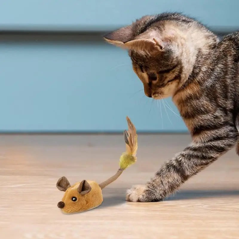 Smart Interactive Toy for Mice