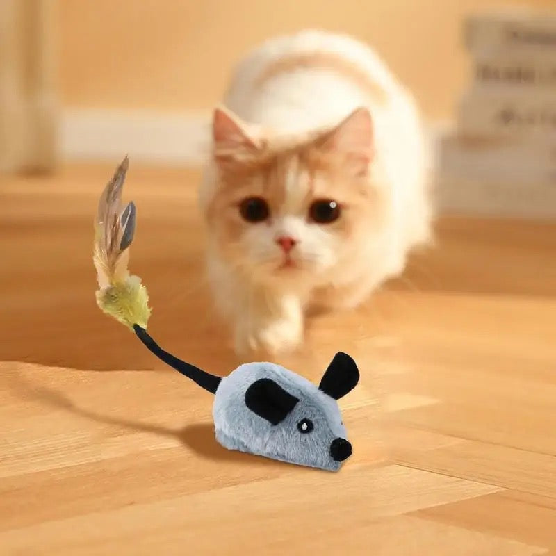 Smart Interactive Toy for Mice