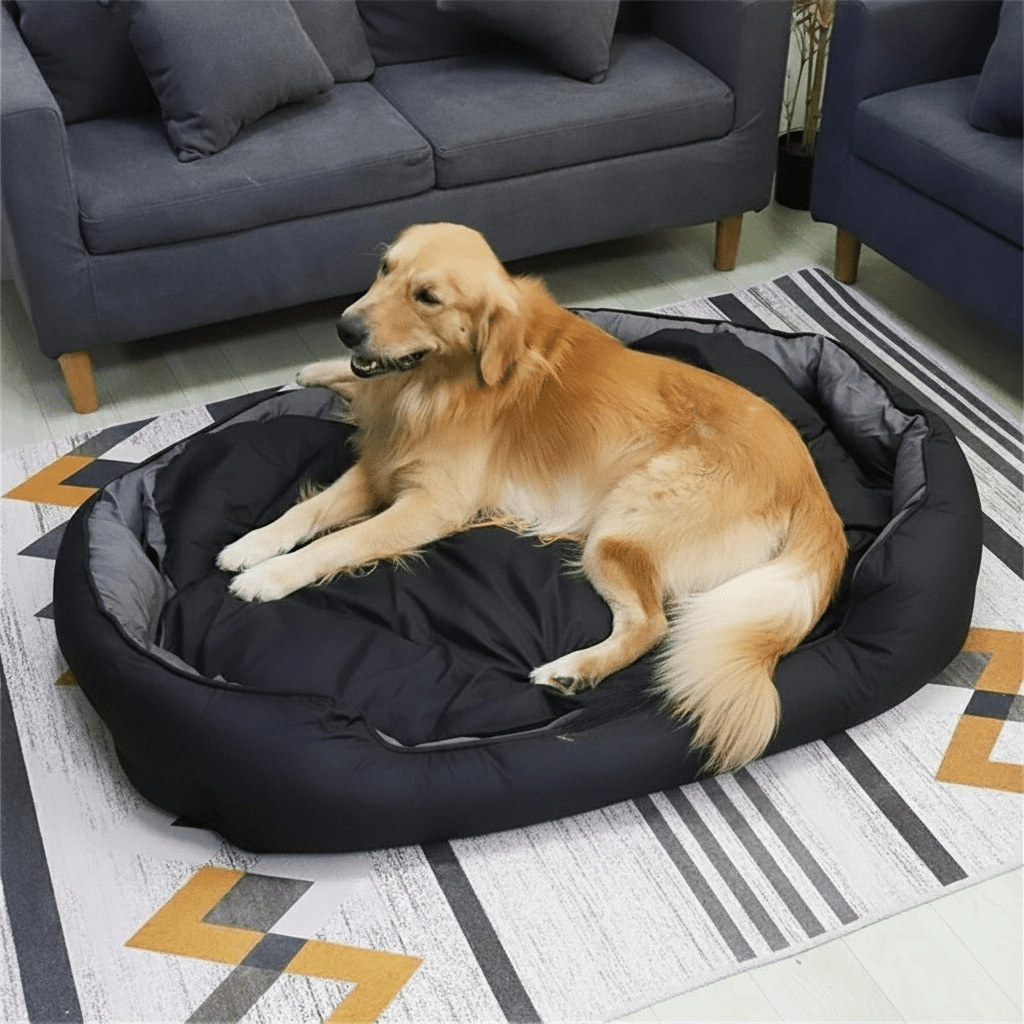 ComfyNest Orthopedic Memory Foam Dog Bed with Washable Cover