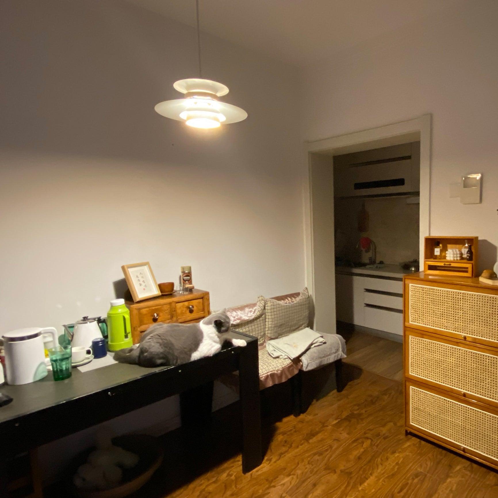 Luxe Pendant Light for a Cozy Atmosphere