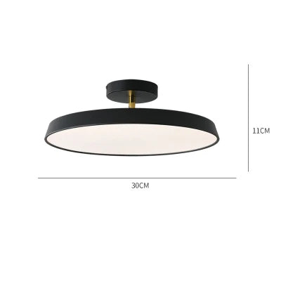 RadiantPath Outdoor Lantern for Entryways and Walkways