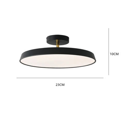 RadiantPath Outdoor Lantern for Entryways and Walkways