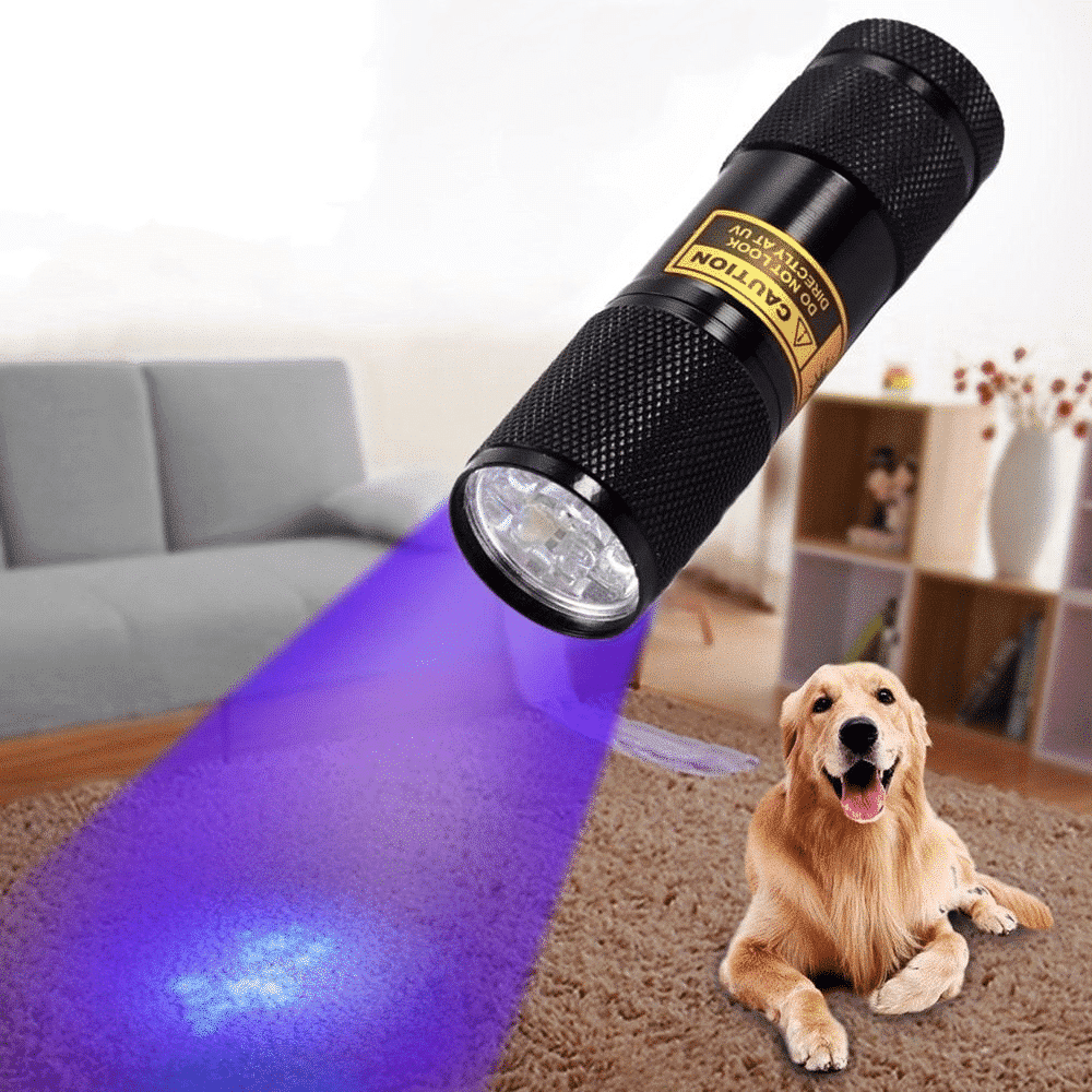 21 LED Portable UV Light Lamp