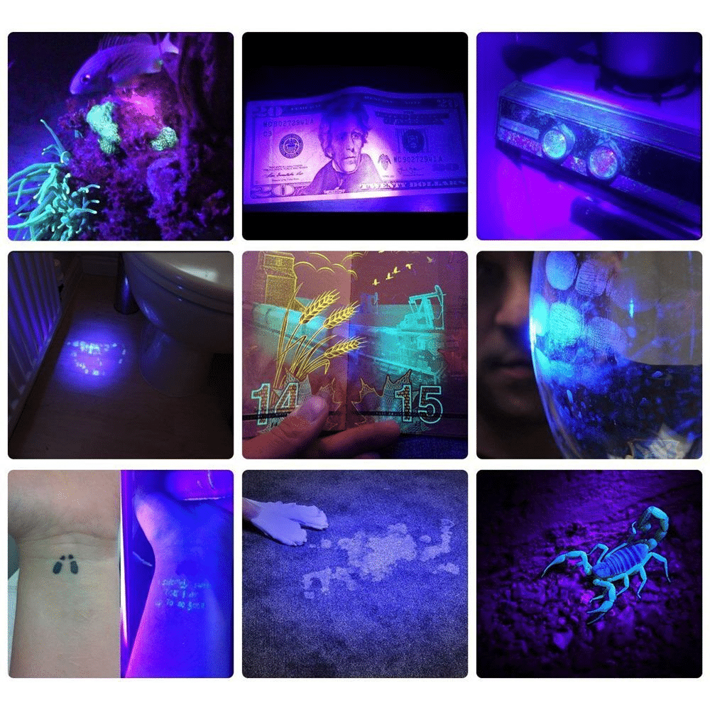21 LED Portable UV Light Lamp