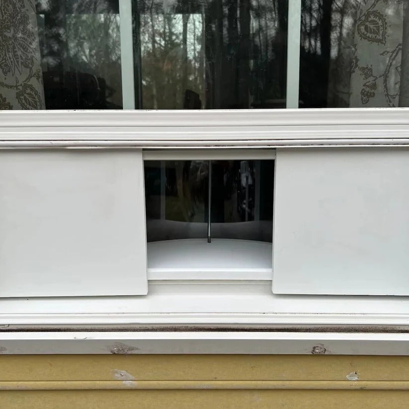 Window Bird Feeder with Suction Cup Installation for Close-Up Viewing