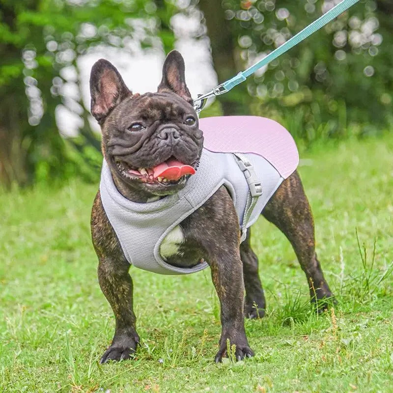 Dog Cooling Vest with Three-Layer Fabric for Outdoor Comfort