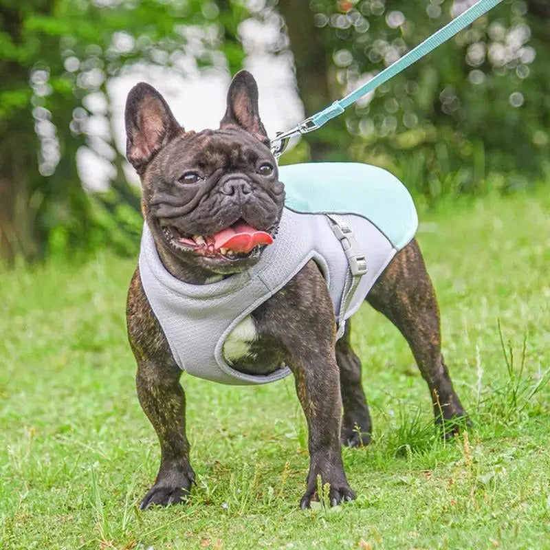 Dog Cooling Vest with Three-Layer Fabric for Outdoor Comfort