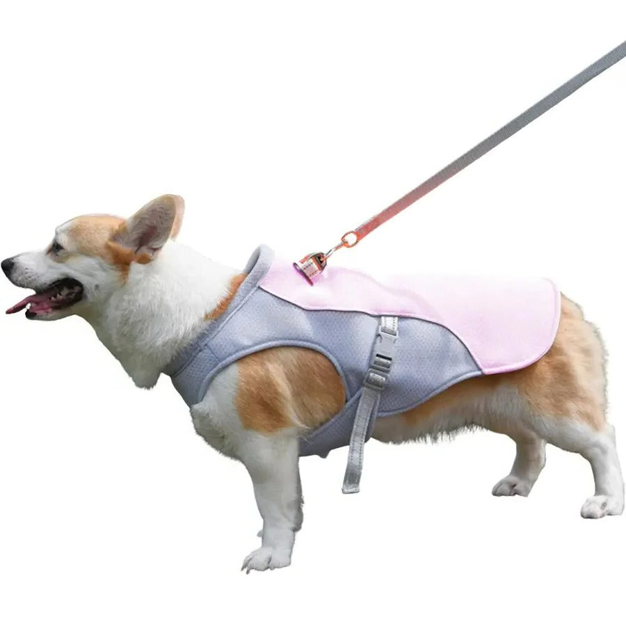 Dog Cooling Vest with Three-Layer Fabric for Outdoor Comfort