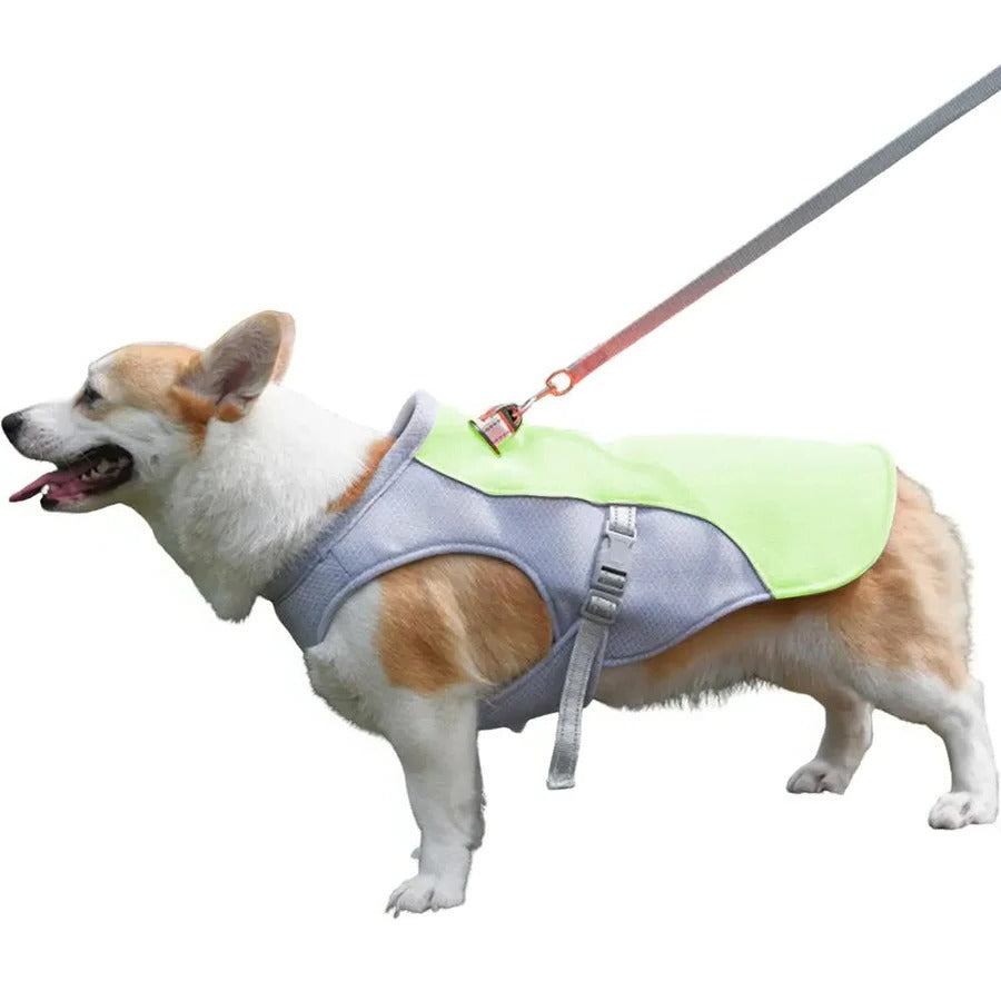 Dog Cooling Vest with Three-Layer Fabric for Outdoor Comfort