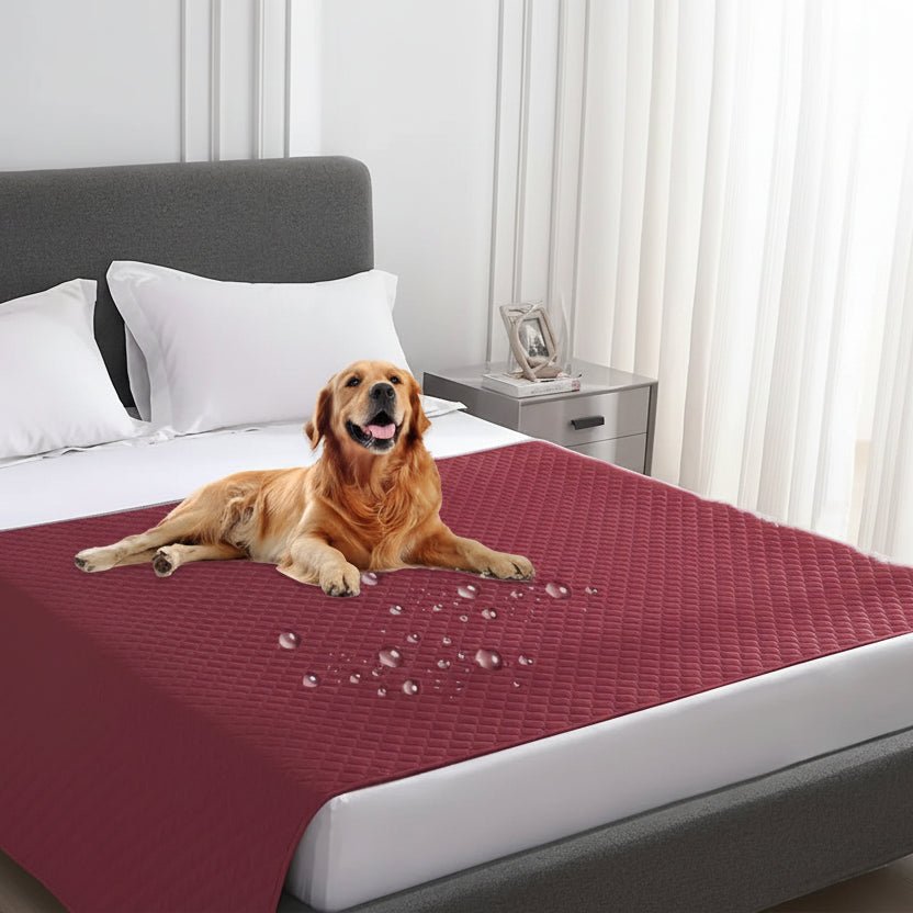 AquaShield Pet Blanket - Water-Resistant Protection for Furniture
