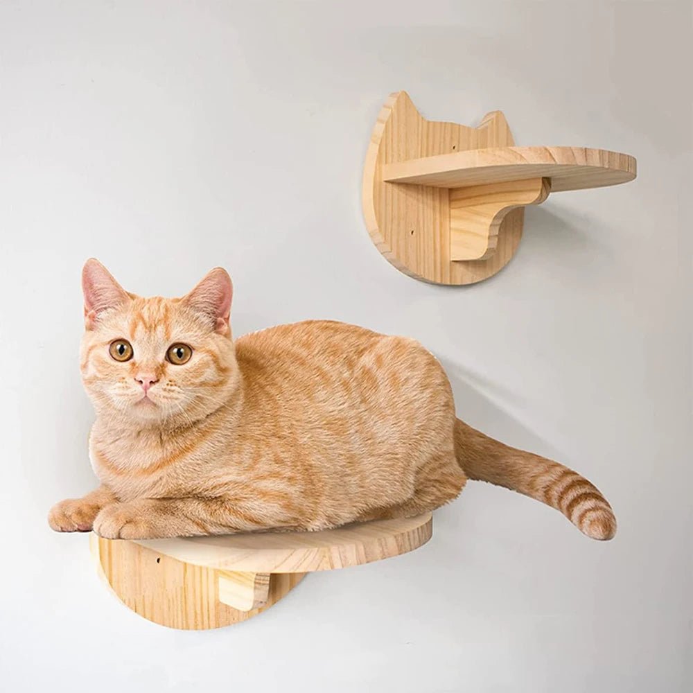 FelineVista Wooden Cat Wall Shelves with Soft Padding