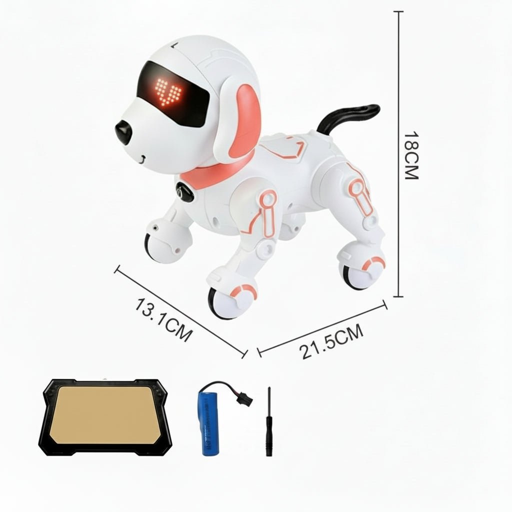 BuddyBot Mini Interactive Companion Robot for Kids
