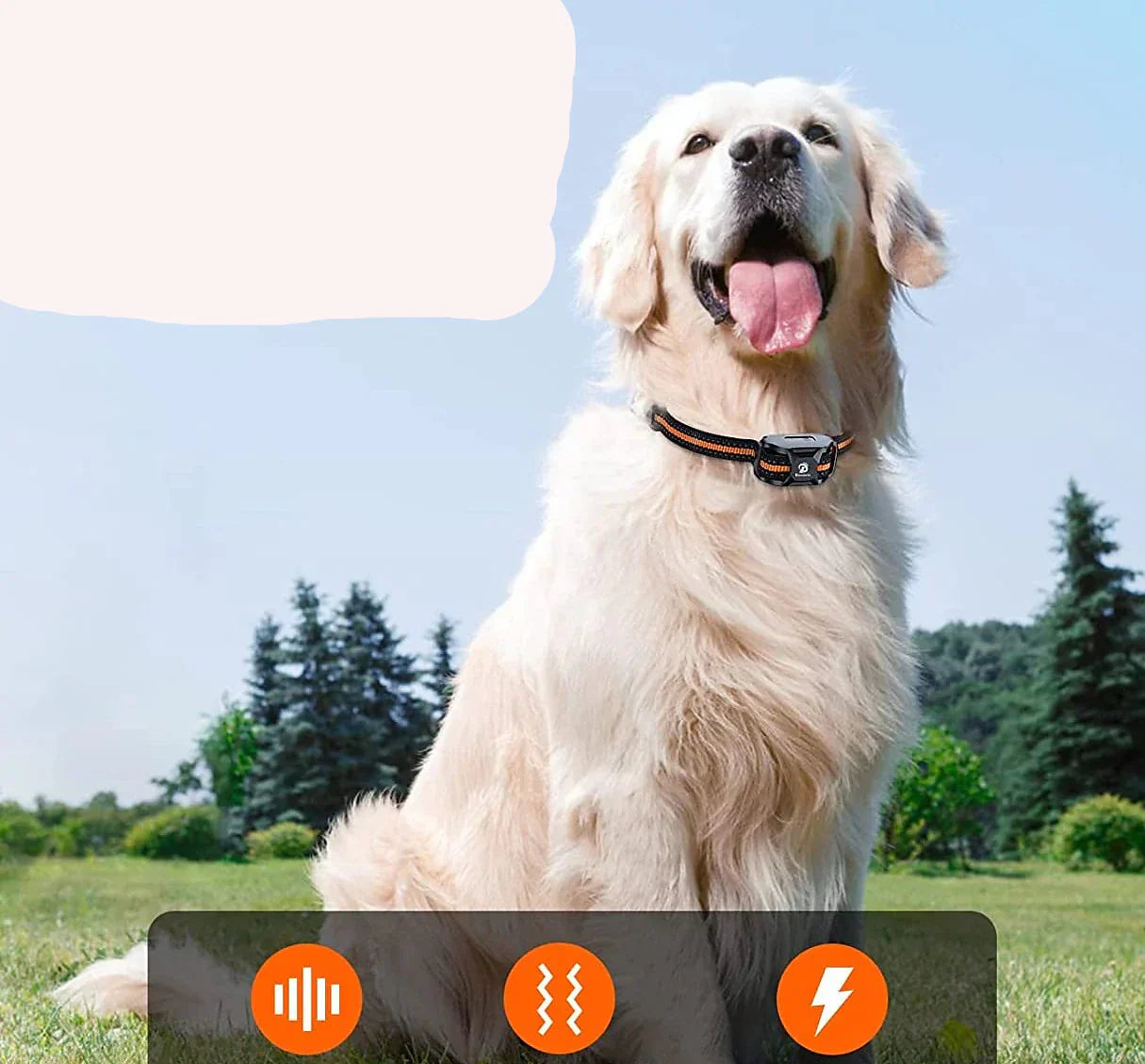 Waterproof Dog Training Collar with Rechargeable Battery – 1000m Range