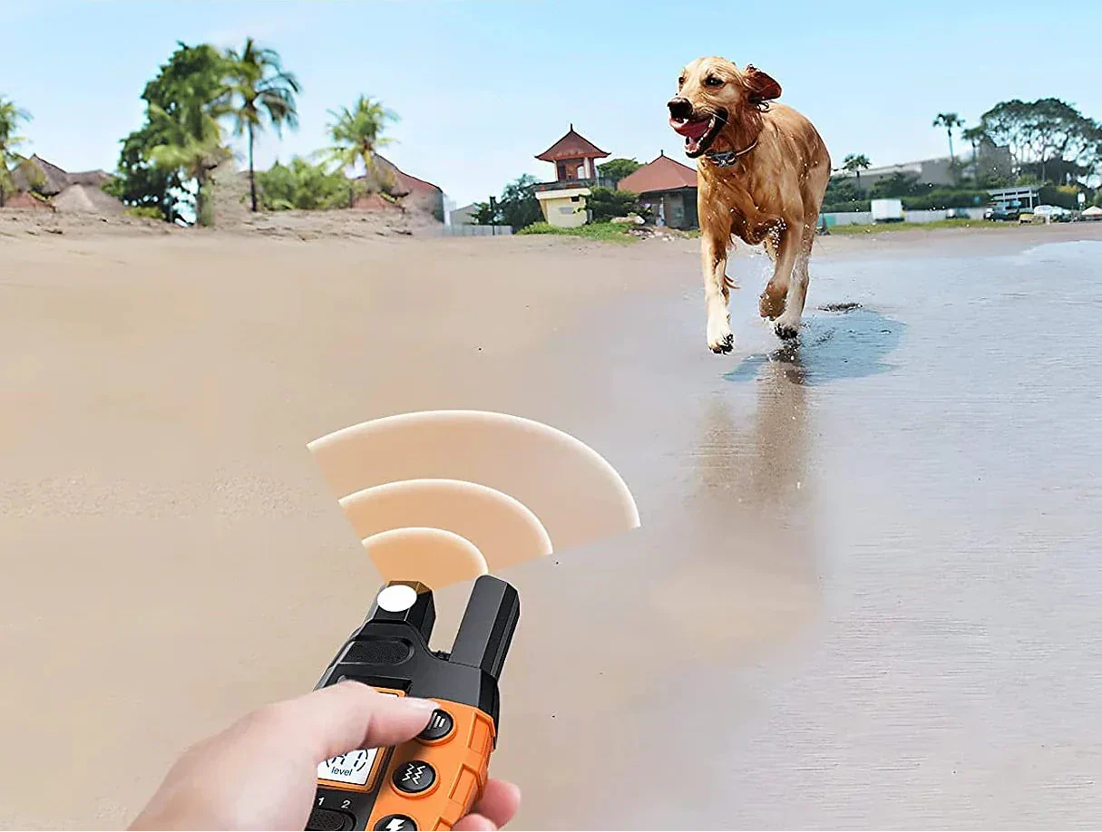 Waterproof Dog Training Collar with Rechargeable Battery – 1000m Range