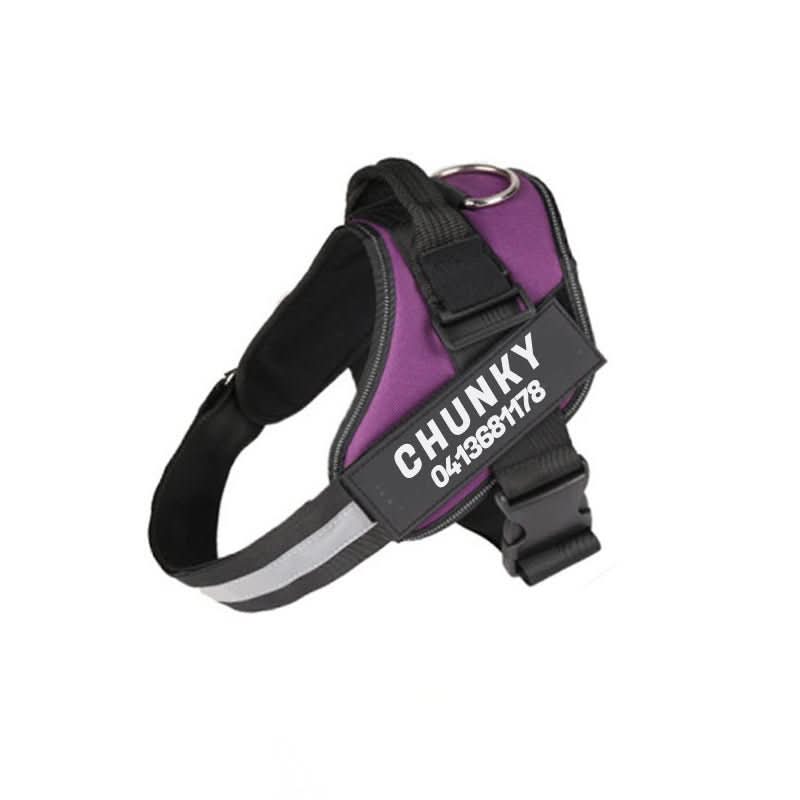 ComfortFit Customizable Dog Harness for Ultimate Safety
