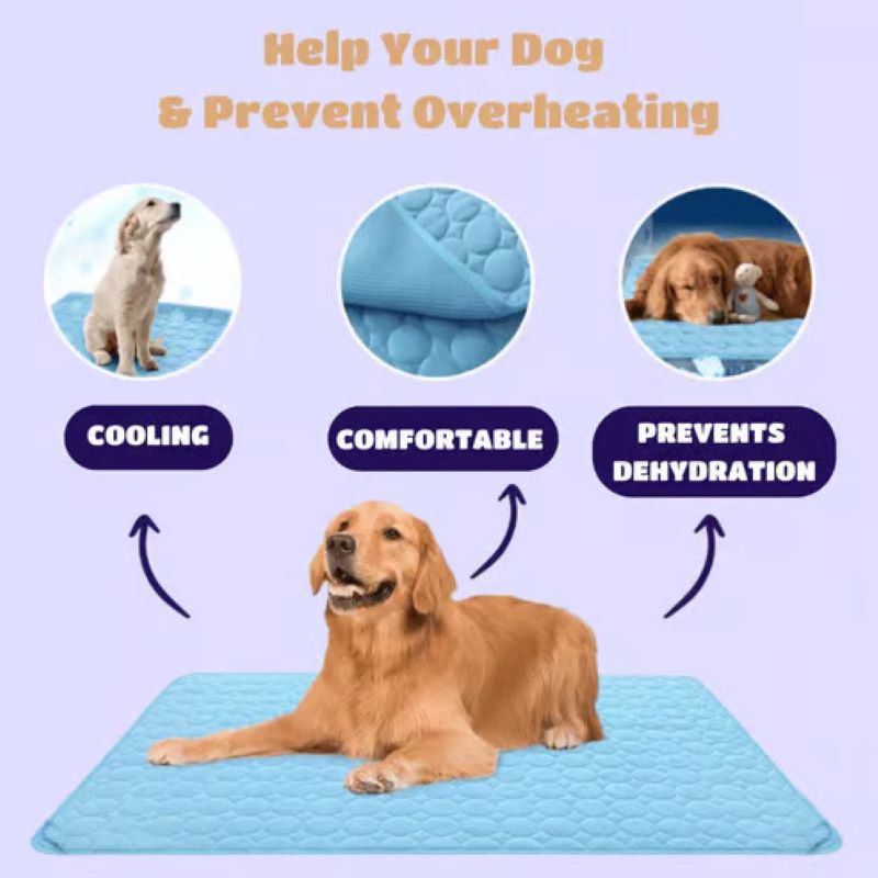 Cooling Dog Mat with Gel-Free Design | Easy Clean for Comfort