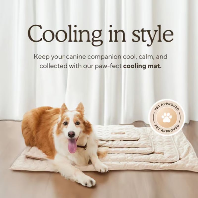 Cooling Dog Mat with Gel-Free Design | Easy Clean for Comfort