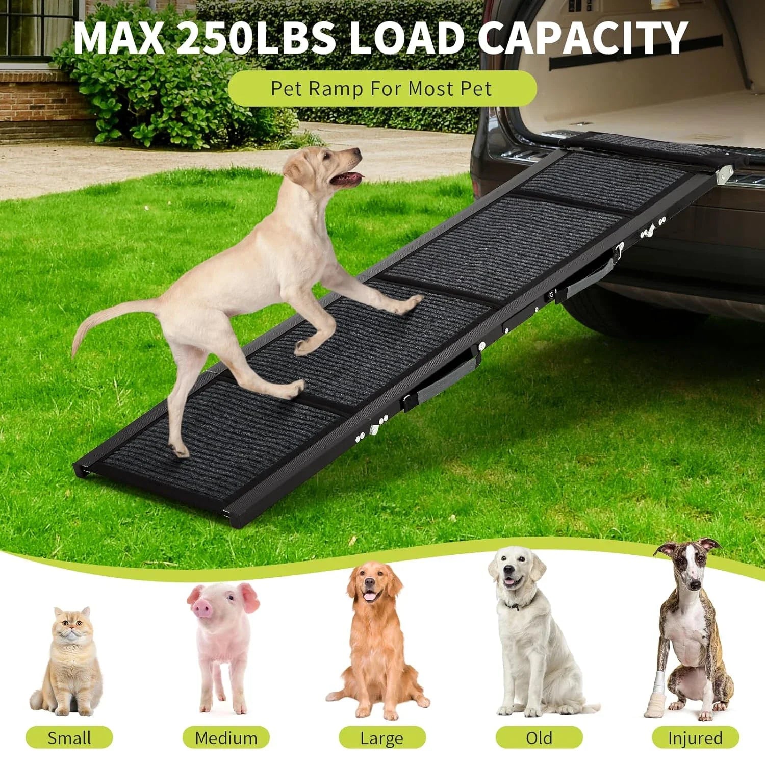 Folding Dog Ramp for Bed and Car – Lightweight, Non-Slip Pet Access