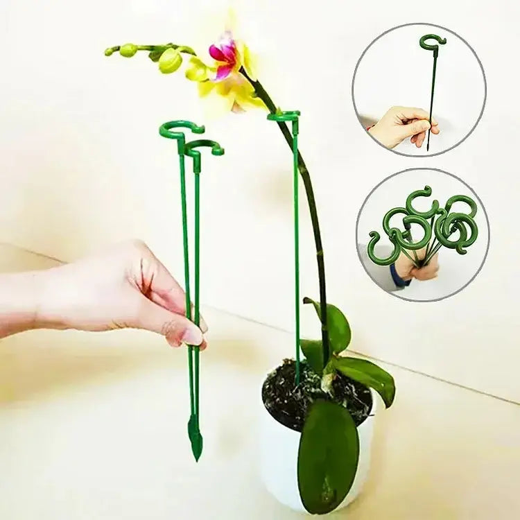 SturdyGrow Plant Support Stake for Upright Plants