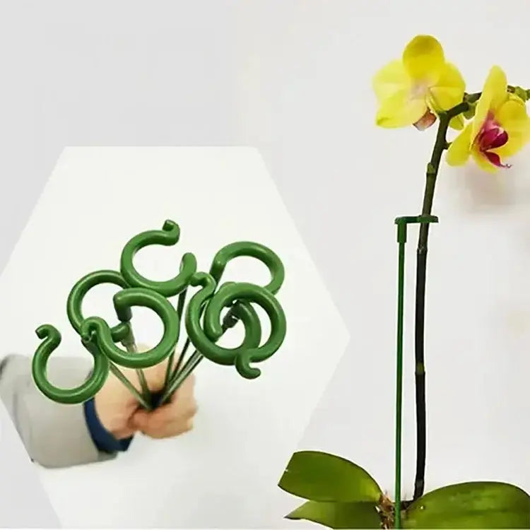 SturdyGrow Plant Support Stake for Upright Plants