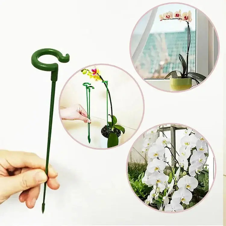 SturdyGrow Plant Support Stake for Upright Plants