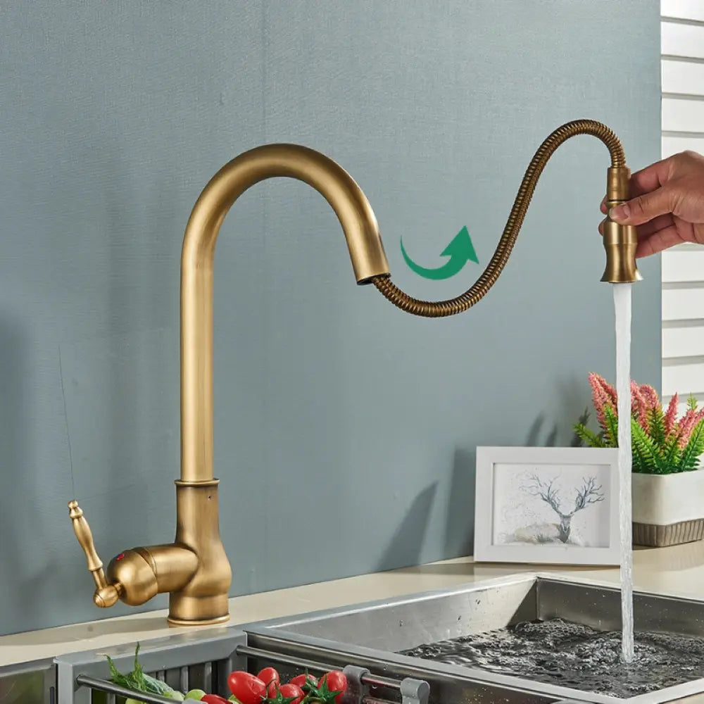 Classic Brass Kitchen Faucet with Swivel Spout