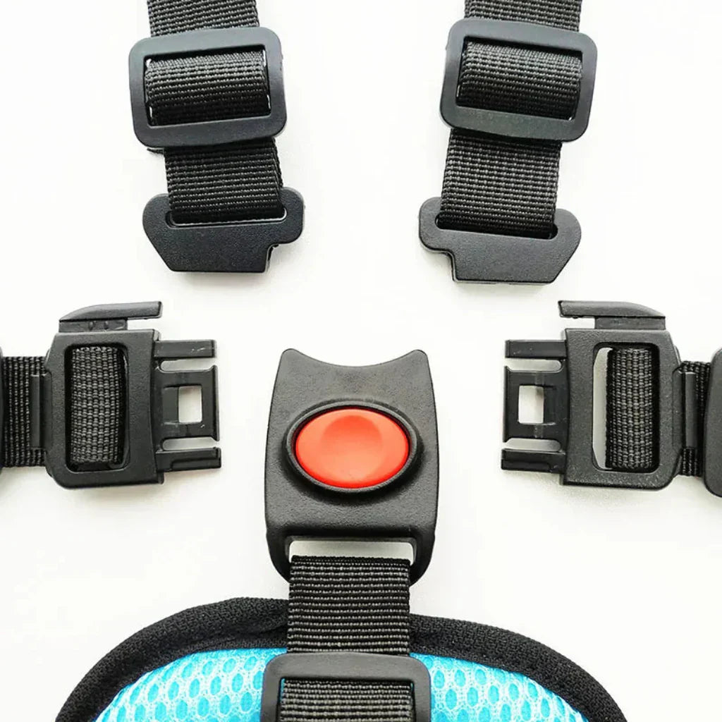 Versatile Child Safety Harness with Comfort Padding for Vehicles