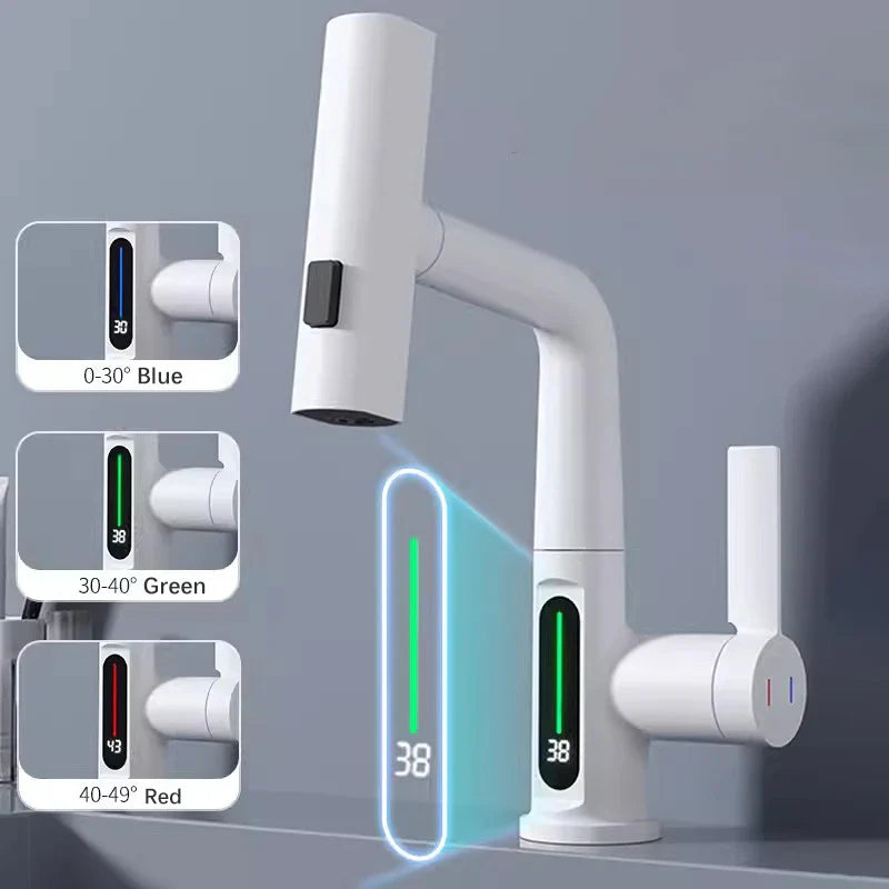 Versatile Kitchen Faucet with Digital Temperature Readout