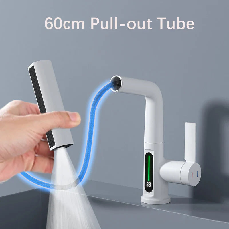 Versatile Kitchen Faucet with Digital Temperature Readout