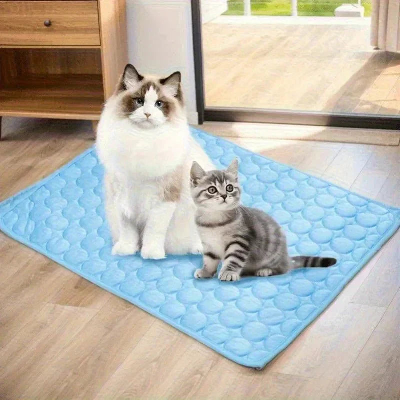 PawBreeze Refreshing Pet Mat for Ultimate Comfort