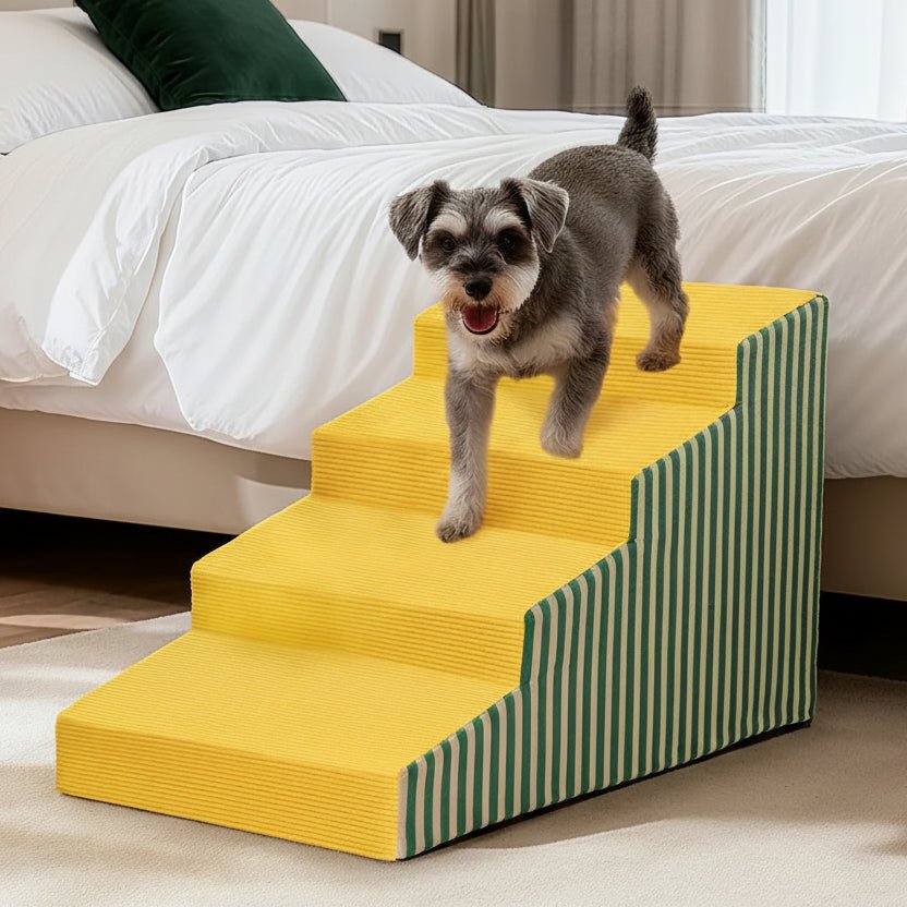 PawLift Gentle Incline Foam Steps for Dogs with Secure Base