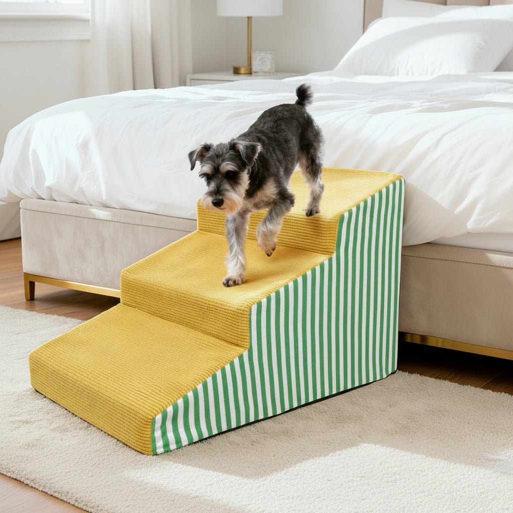 PawLift Gentle Incline Foam Steps for Dogs with Secure Base