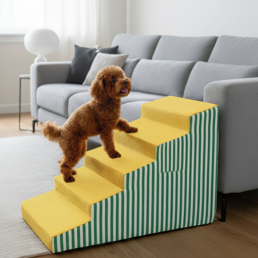 PawLift Gentle Incline Foam Steps for Dogs with Secure Base