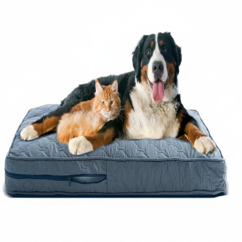 SnuggleNest Orthopedic Bed Cover for Large Dogs