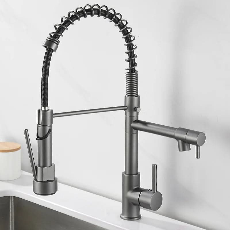 Elegant Duo Spout Kitchen Faucet with Luxe Black and Gold Design