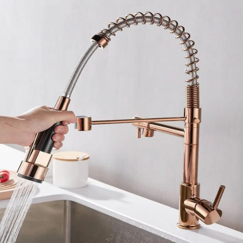 Elegant Duo Spout Kitchen Faucet with Luxe Black and Gold Design