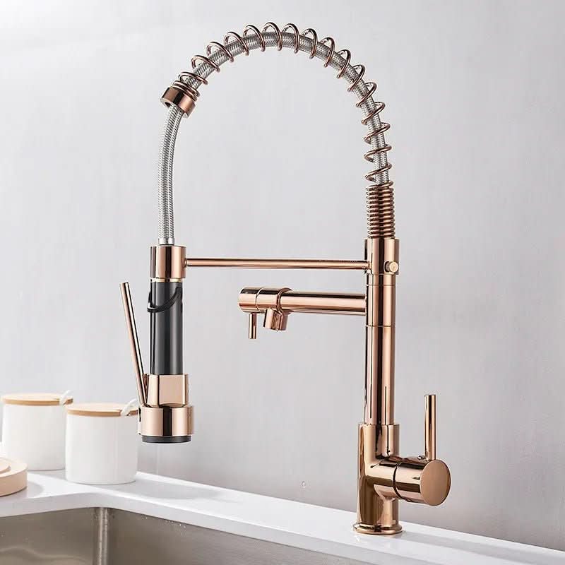 Elegant Duo Spout Kitchen Faucet with Luxe Black and Gold Design