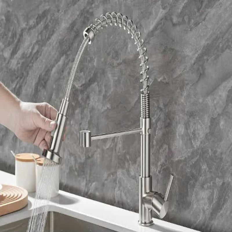 Elegant Duo Spout Kitchen Faucet with Luxe Black and Gold Design