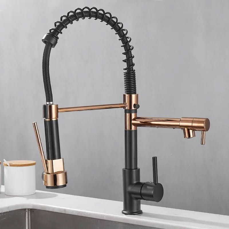 Elegant Duo Spout Kitchen Faucet with Luxe Black and Gold Design