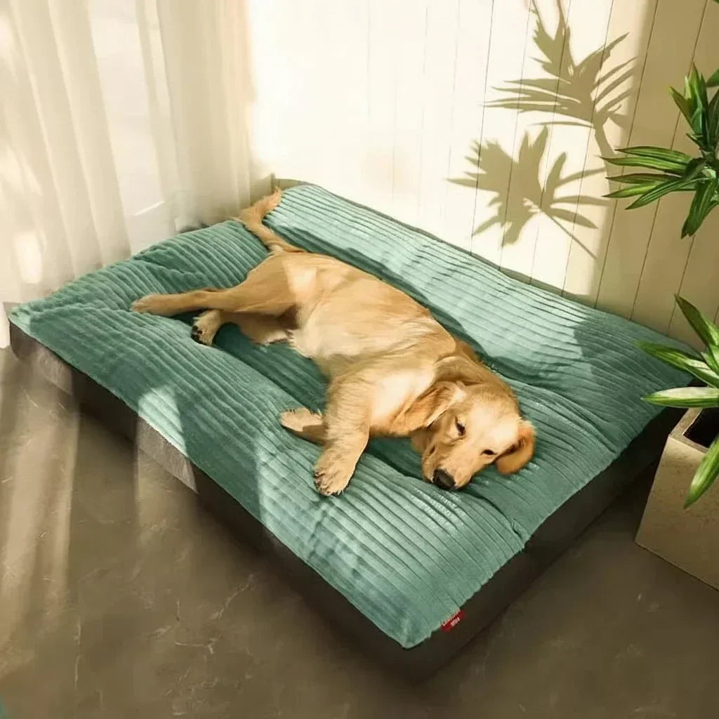 DreamHaven Supportive Dog Bed for Ultimate Comfort